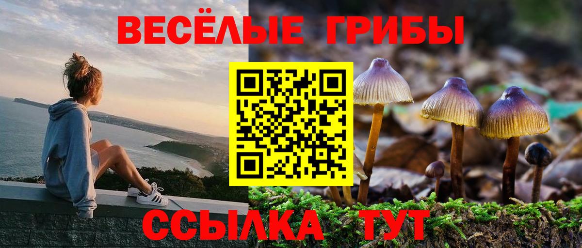 Канабис  Вход с VPN  NBOMe  Вязьма  Продажа наркотиков  Cocaine  Меф МЯУ МЯУ кристаллы 