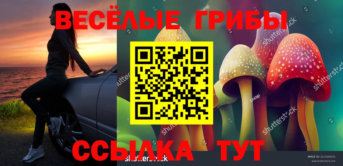 Вязьма  Псилоцибиновые грибы Cubensis  Вход с VPN 